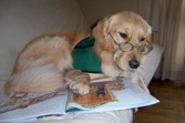 READing Paws @ Goodlettsville Public Library Branch