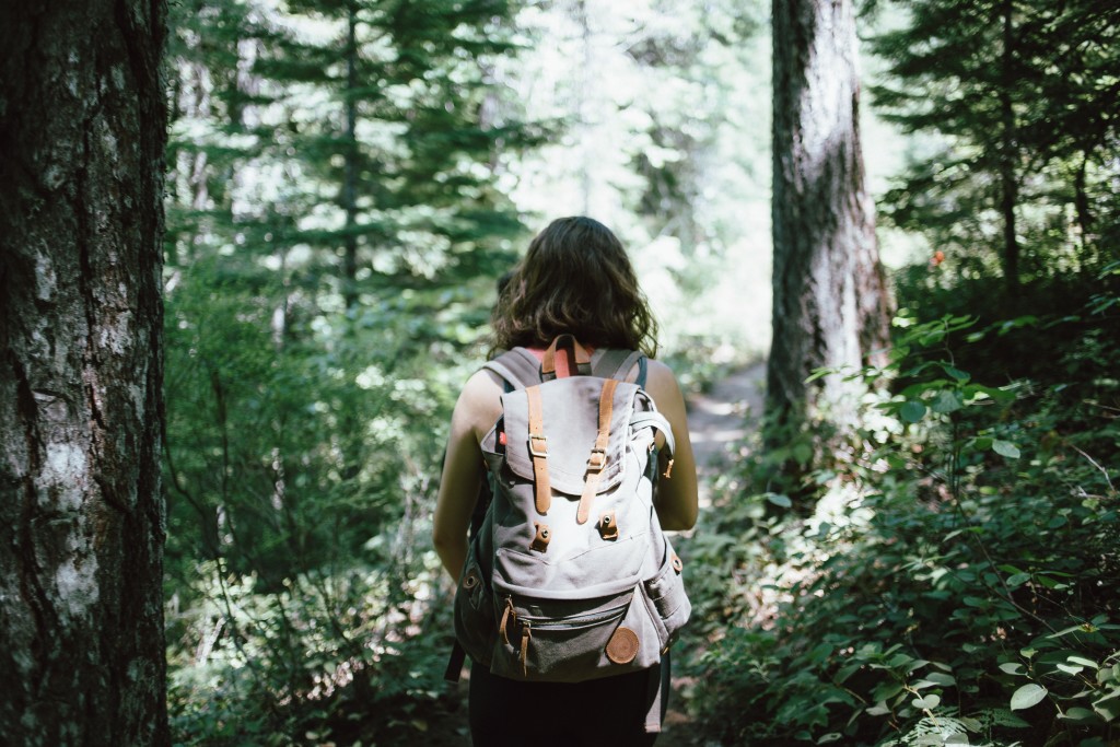 Guided Spring Hike @ Bledsoe Creek State Park | Gallatin | Tennessee | United States