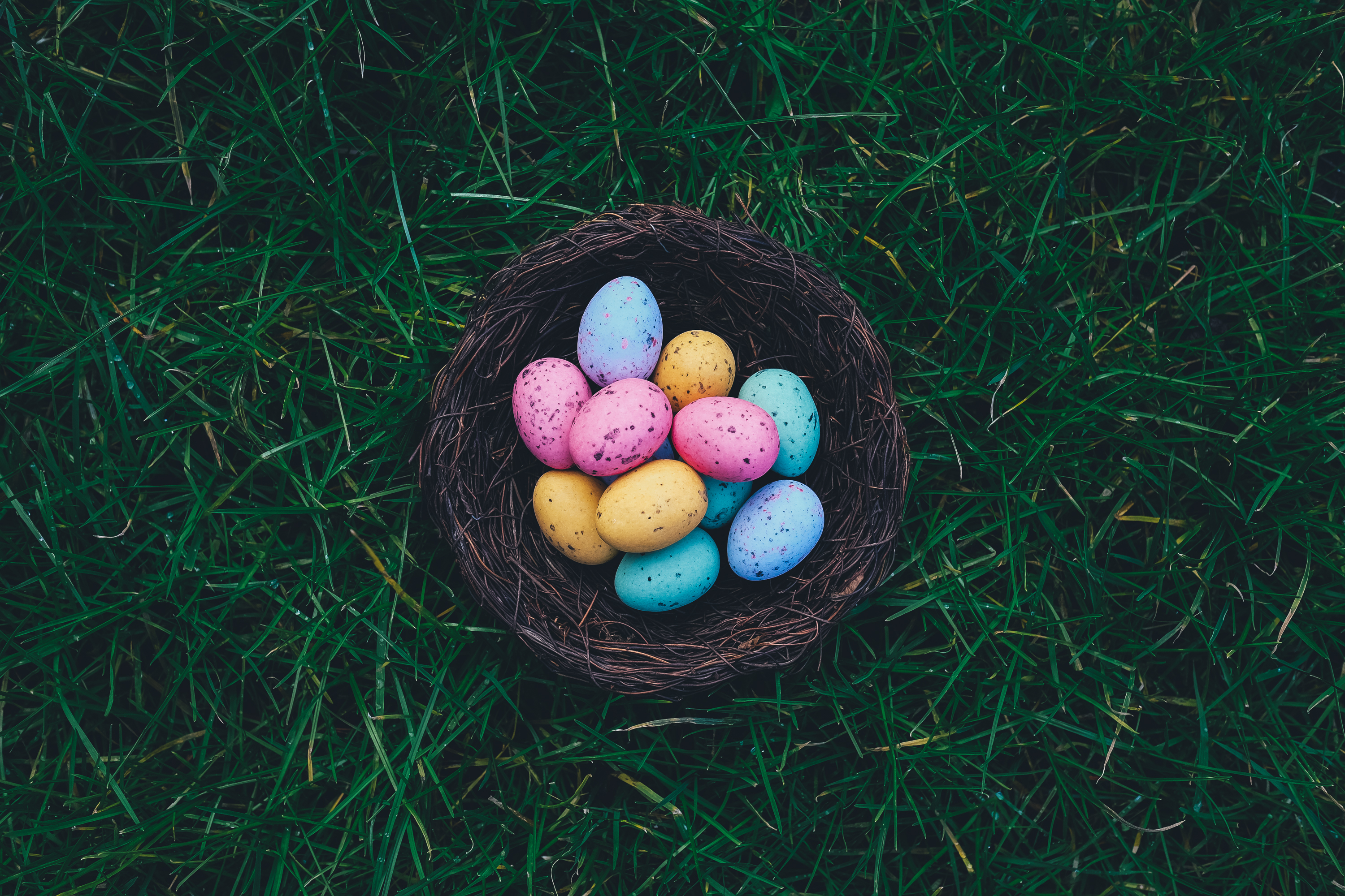 Wonderland Egg Hunt @ Historic Rock Castle